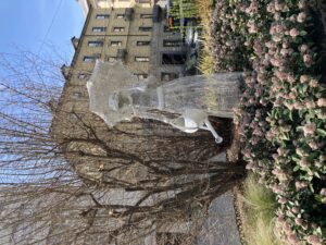 torino letteraria